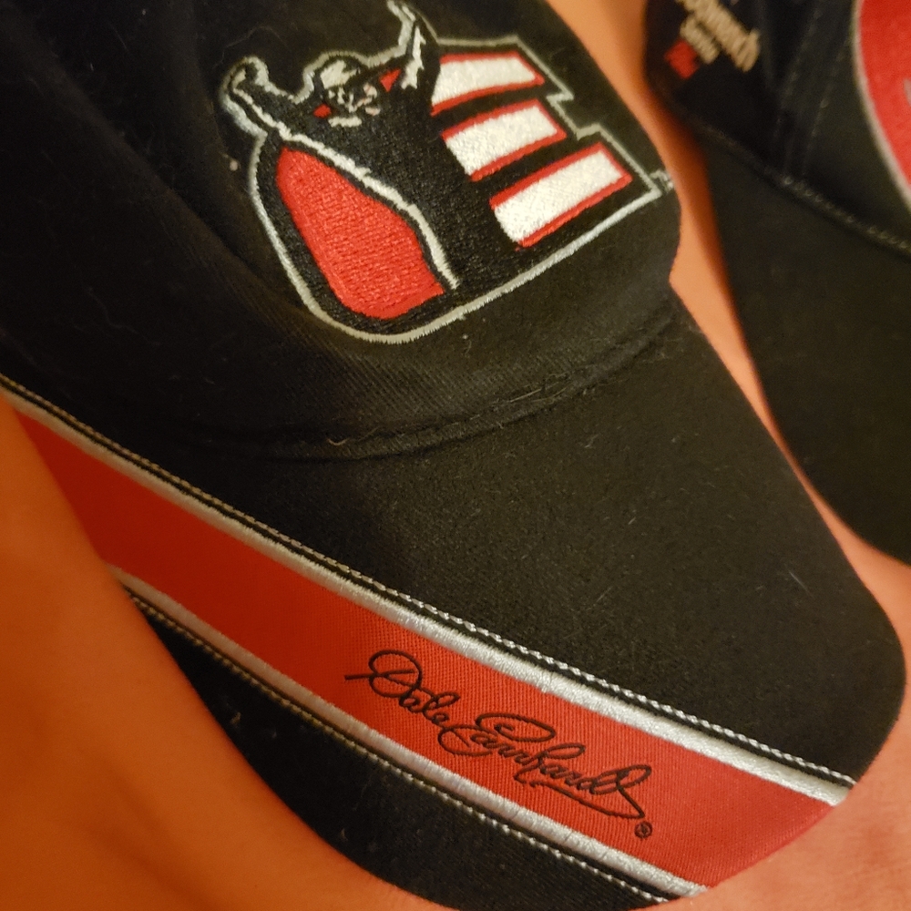 #3 Dale Earnhardt Cap